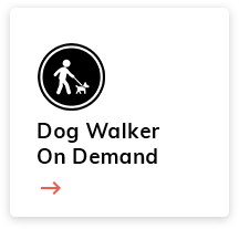apps for dogwalking