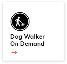 dogwalker app